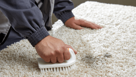 Professional Rug Cleaning Springbank