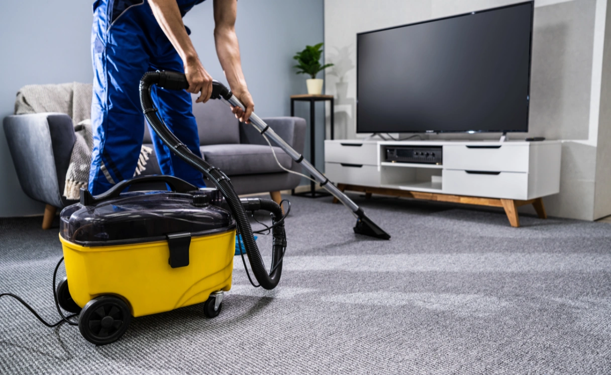 Extract Rug Cleaning Springbank Contact Office